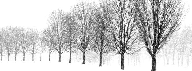 shutterstock_22400710-1